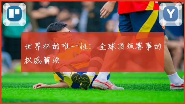 世界杯的唯一性：全球顶级赛事的权威解读