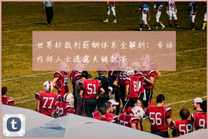 世界杯裁判薪酬体系全解析：专访内部人士透露关键数字