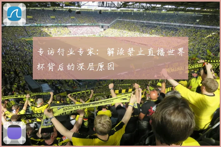 专访行业专家：解读禁止直播世界杯背后的深层原因