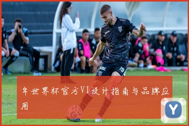 年世界杯官方VI设计指南与品牌应用