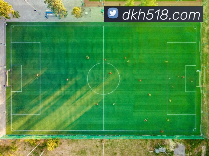 bsports网页版在线登录服务体系